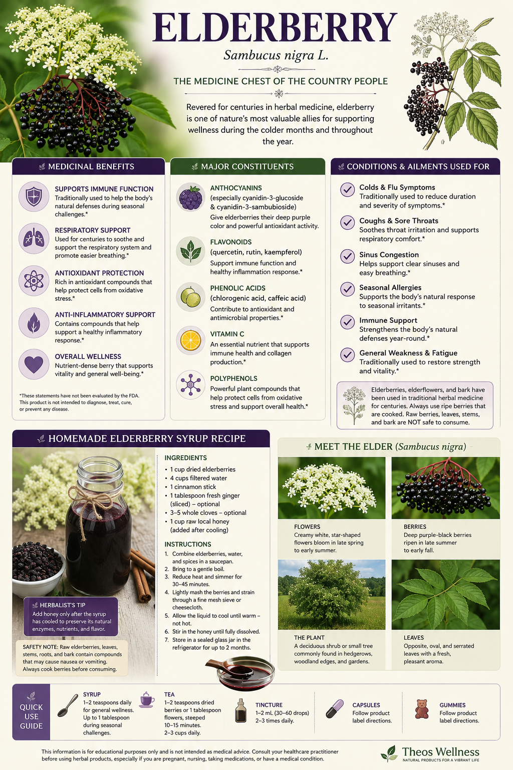 Elderberry (Sambucus nigra): Traditional Uses, Modern Research, Safety, and Evidence-Based Applications