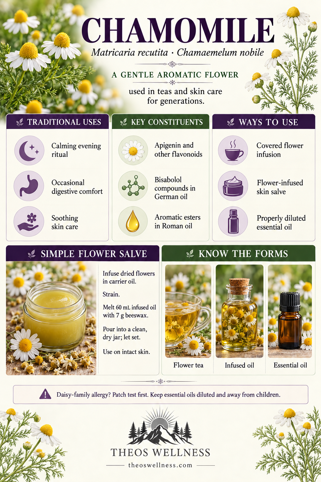 Chamomile
