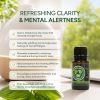 Basil Essential Oil