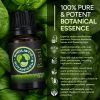 Basil Essential Oil