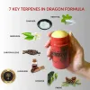 Dragon Pain Relieving Balm Regular Strength Roll-Up 3.4oz - Isolate Formula