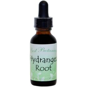 Hydrangea Root Extract 1 Oz