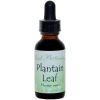 Plantain Leaf Extract 1 Oz