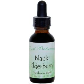 Black Elderberry Extract 1 Oz