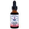 Lobelia Herb Alcohol Extract 1 Oz