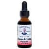 Sinus & Lung Extract 1 Oz