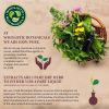 Bergamot Essential Oil