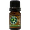 Catnip Essential Oil