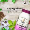 Hawthorn Berry Capsule 100 Ct