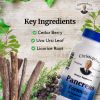 Pancreas Formula Capsule 100 Ct