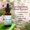 Marshmallow Root Extract 1 Oz