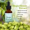 Hops Flower Extract 1 Oz