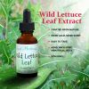 Wild Lettuce Leaf Extract 1 Oz
