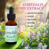 Corydalis Root Extract 1 Oz