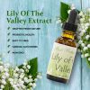 Lily Of The Valley Extract 1 Oz