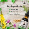 Lung & Bronchial Extract 2 Oz