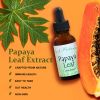 Papaya Leaf Extract 1 Oz