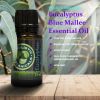 Eucalyptus Blue Mallee Essential Oil