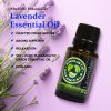 Lavender Essential Oil