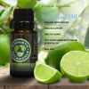 Lime Essential Oil