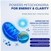 Meraki Methylene Blue Drops – Pharmaceutical Grade Nootropic Supplement for Brain Health - Dietary Supplement Support for Focus & Clarity