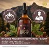 HEBS lab Osha Root Tincture Liquid Extract – Extra Strength Lung & Respiratory Support Supplement, 2 fl oz