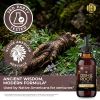 HEBS lab Osha Root Tincture Liquid Extract – Extra Strength Lung & Respiratory Support Supplement, 2 fl oz