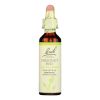 Bach Flower Remedies Essences Chestnut Bud - 0.7 Fl Oz