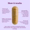 SEASON34 Menopause & Perimenopause Sleep Support for Women 40+ | Night Sweats & Hot Flash–Related Awakenings | Stay Cool All Night & Wake Refreshed |