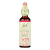 Bach Flower Remedies Essence Star Of Bethlehem - 0.7 Fl Oz