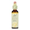 Bach Flower Remedies Essences Hornbeam - 0.7 Fl Oz