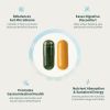 Snap Supplements Gut Health & Organic Spirulina Chlorella Bundle–Probiotic + Digestive Enzymes + Greens–Supports Digestion, Detox, Energy & Immune
