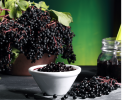 My Balance Nutrisentials Elderberry Plus 600 mg - 60 Veggie Capsules
