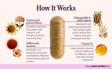 SEASON34 Menopause & Perimenopause Sleep Support for Women 40+ | Night Sweats & Hot Flash–Related Awakenings | Stay Cool All Night & Wake Refreshed |