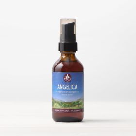 WishGarden Herbs Single - Angelica — 2 FL OZ
