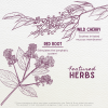 WishGarden Herbs Kick-It Cough Kids — 2 FL OZ