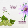 WishGarden Herbs Serious Cough Pm Soothing Syrup — 4 FL OZ jigger
