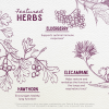 WishGarden Herbs Serious Cough Am Soothing Syrup — 4 FL OZ jigger