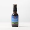WishGarden Herbs Single - Yerba Mate — 2 FL OZ