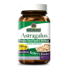 Nature's Answer - Astragalus Root Extract - 60 Vegetarian Capsules