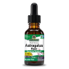 Astragalus Root AF - 2000mg by Natures Answer for Unisex - 1 oz Dietary Supplement