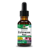 Echinacea Root Extract AF - 1000 mg by Natures Answer for Unisex - 1 oz Dietary Supplement