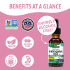 Astragalus Root AF - 2000mg by Natures Answer for Unisex - 1 oz Dietary Supplement