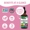 Echinacea Root Extract AF - 1000 mg by Natures Answer for Unisex - 1 oz Dietary Supplement