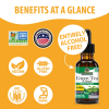 Green Tea Extract AF - 2000mg by Natures Answer for Unisex - 1 oz Dietary Supplement