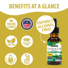 Gymnema Leaf Extract AF - 1000mg by Natures Answer for Unisex - 1 oz Dietary Supplement