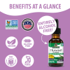 Horsetail Extract AF - 2000 mg by Natures Answer for Unisex - 1 oz Dietary Supplement