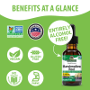 Marhmallow Root AF - 2000mg by Natures Answer for Unisex - 1 oz Dietary Supplement