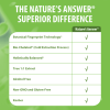 Marhmallow Root AF - 2000mg by Natures Answer for Unisex - 1 oz Dietary Supplement