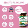 Nature's Answer - Astragalus Root Extract - 60 Vegetarian Capsules